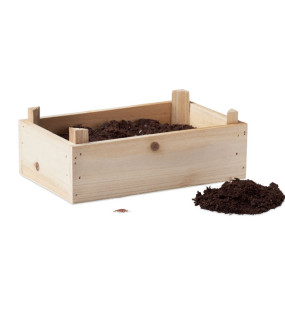 KIT PER LA COLTIVAZIONE DELLE FRAGOLE IN SCATOLA DI LEGNO