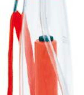 NEBULIZZATORE 70ml