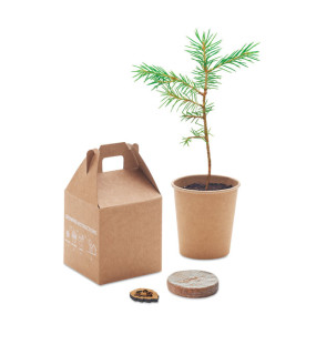 KIT PER LA COLTIVAZIONE CON SEMI DI PINO 7x6,5x6,5 cm